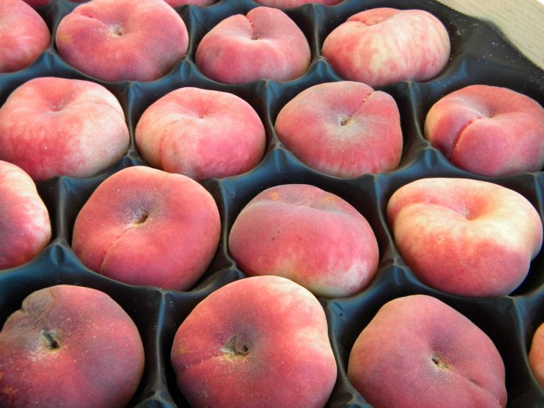 Les Jardins de Gaïa à Cheval-BlancBernard JoumontFournit les fruits depuis 2022