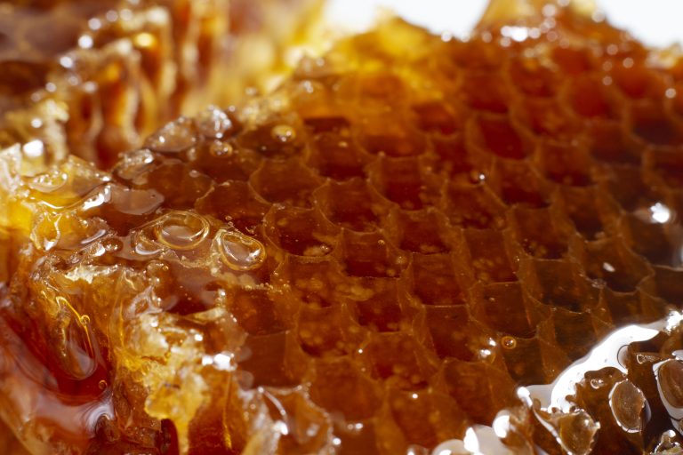 GAEC Aude-Malbec à BonnieuxMalvina Malbec et Clément AudeFournit le miel depuis 2020